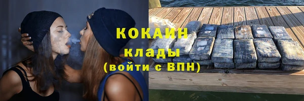 мдпв Верея